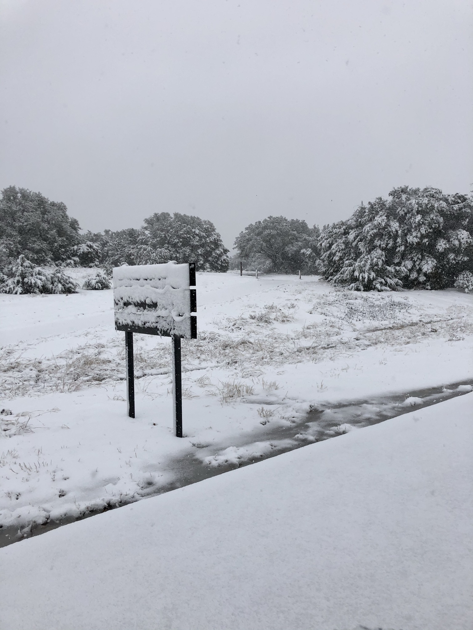 River Ranch County Park snow 2021 (3)